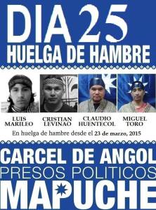 25 días en huelga de hambre mapuche
